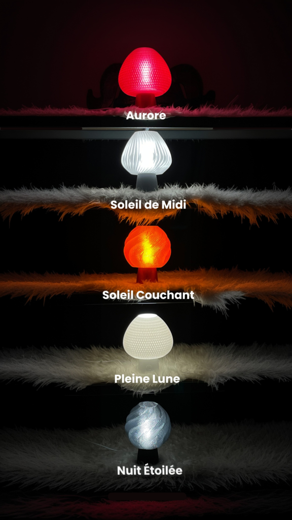 Image montrant nos différents types de lampes design.